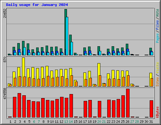 Daily usage for January 2024