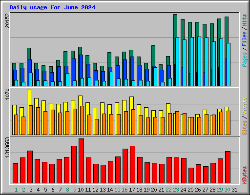 Daily usage for June 2024