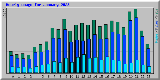Hourly usage for January 2023