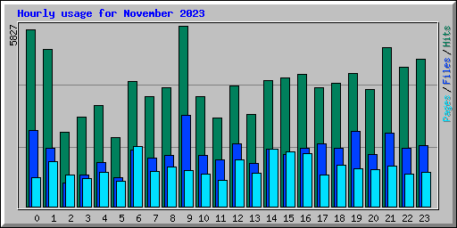 Hourly usage for November 2023