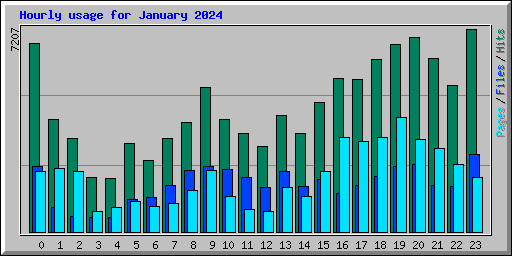 Hourly usage for January 2024