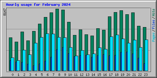 Hourly usage for February 2024