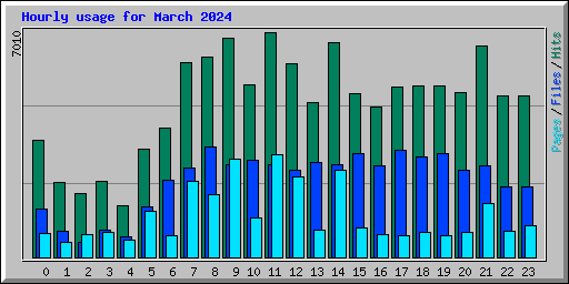 Hourly usage for March 2024