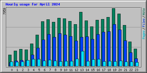 Hourly usage for April 2024