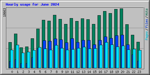 Hourly usage for June 2024