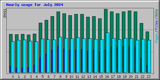 Hourly usage for July 2024