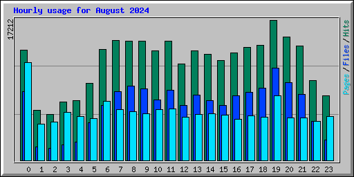 Hourly usage for August 2024