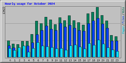 Hourly usage for October 2024