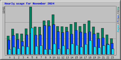 Hourly usage for November 2024