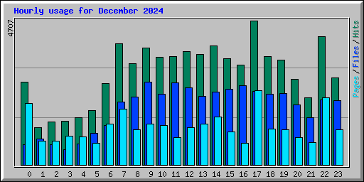 Hourly usage for December 2024