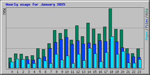 Hourly usage for January 2025