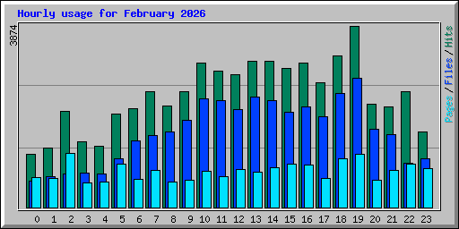 Hourly usage for February 2026